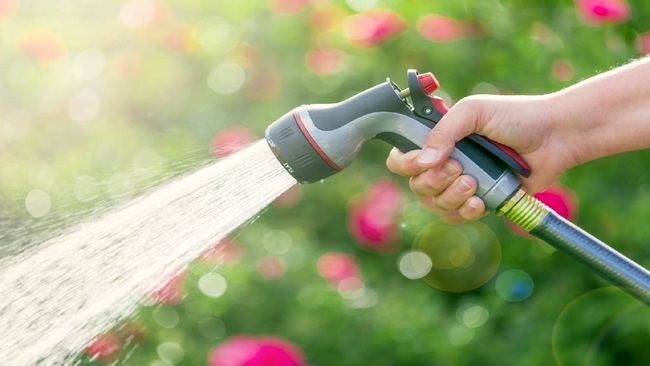 How to Choose a Durable, Kink-Resistant Hose for Your Home and Garden Cómo elegir una manguera duradera y resistente a torceduras para su hogar y jardín