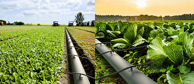 La gu&iacute;a completa de mangueras de riego (y por qu&eacute; las mangueras planas de TPU est&aacute;n dando forma a la agricultura moderna)