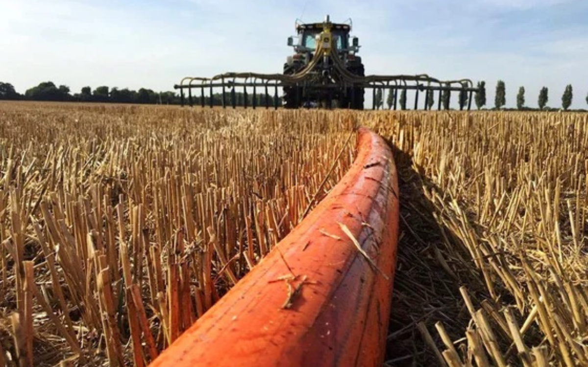 Agricultura
